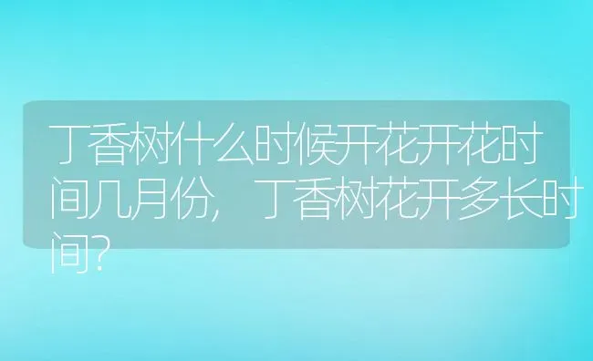丁香树什么时候开花开花时间几月份,丁香树花开多长时间？ | 养殖科普