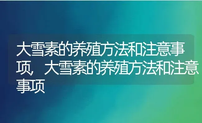 大雪素的养殖方法和注意事项,大雪素的养殖方法和注意事项 | 养殖科普