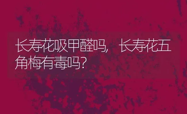 长寿花吸甲醛吗,长寿花五角梅有毒吗？ | 养殖学堂