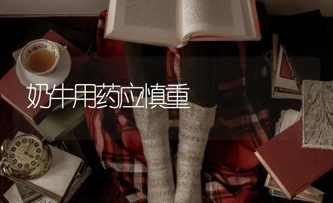 奶牛用药应慎重 | 养殖技术大全
