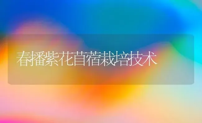 春播紫花苜蓿栽培技术 | 养殖知识