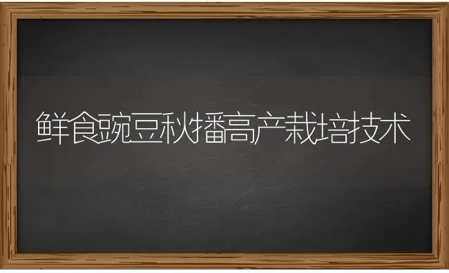 鲜食豌豆秋播高产栽培技术 | 养殖技术大全