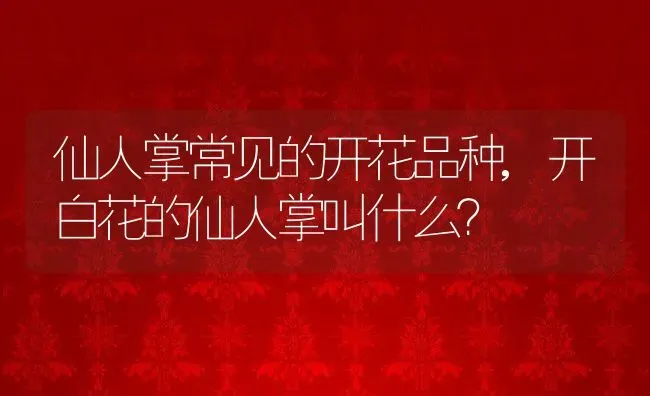 仙人掌常见的开花品种,开白花的仙人掌叫什么？ | 养殖科普