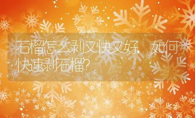 石榴怎么剥又快又好,如何快速剥石榴？ | 养殖科普