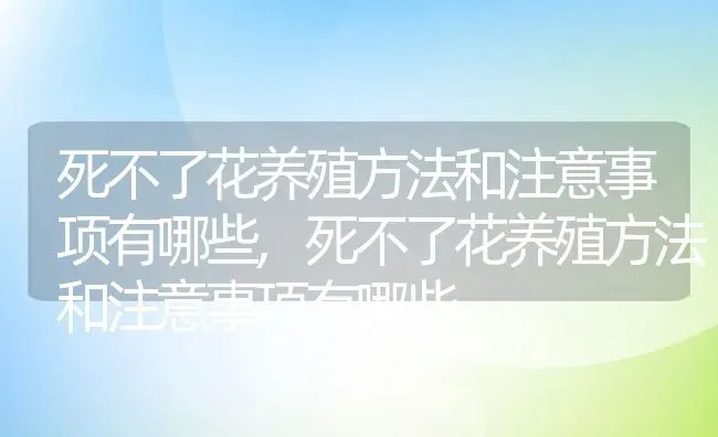 死不了花养殖方法和注意事项有哪些,死不了花养殖方法和注意事项有哪些 | 养殖科普