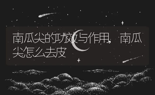 南瓜尖的功效与作用,南瓜尖怎么去皮 | 养殖学堂