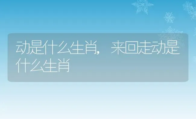 动是什么生肖,来回走动是什么生肖 | 养殖资料