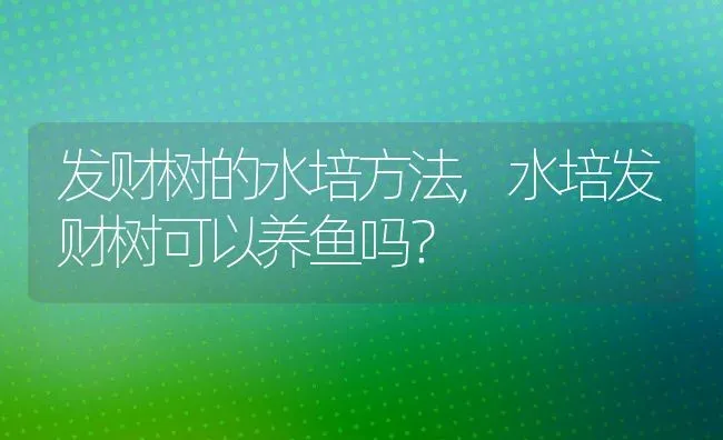 天蓝绣球的养殖方法,芝樱喜光还是耐阴？ | 养殖科普