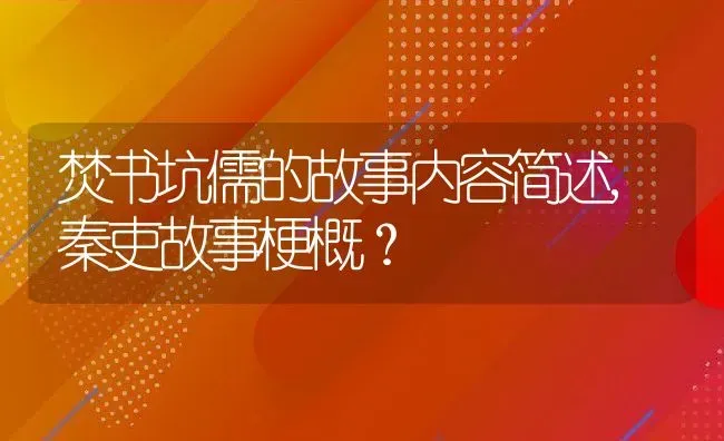 焚书坑儒的故事内容简述,秦吏故事梗概？ | 养殖科普