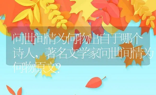 云竹盆景怎么养,矮化云竹的正确养法？ | 养殖科普