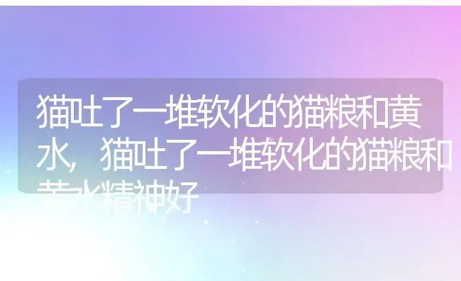 猫吐了一堆软化的猫粮和黄水,猫吐了一堆软化的猫粮和黄水精神好 | 养殖科普
