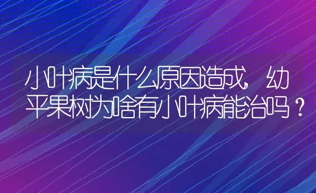 小叶病是什么原因造成,幼平果树为啥有小叶病能治吗？ | 养殖学堂