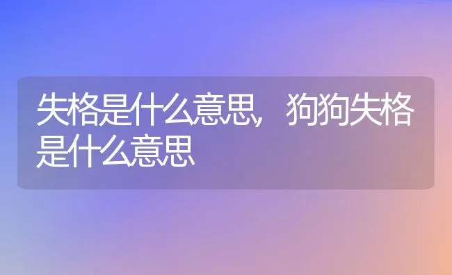 失格是什么意思,狗狗失格是什么意思 | 养殖资料