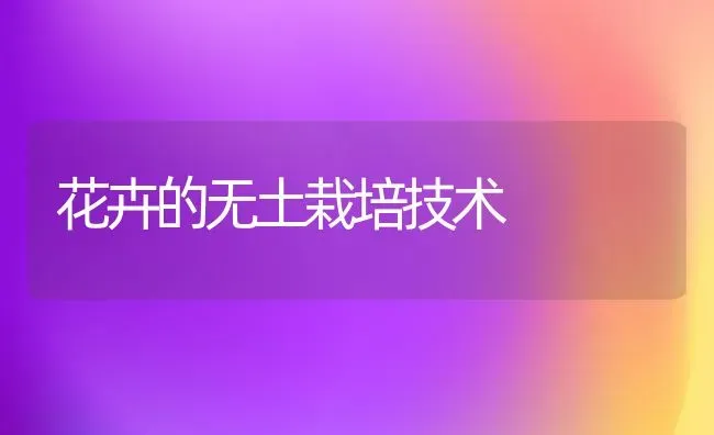 花卉的无土栽培技术 | 养殖技术大全