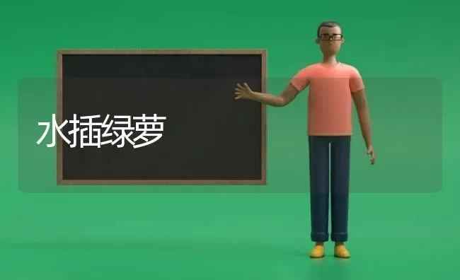 水插绿萝 | 养殖技术大全