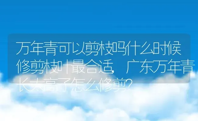 万年青可以剪枝吗什么时候修剪枝叶最合适,广东万年青长太高了怎么修剪？ | 养殖科普