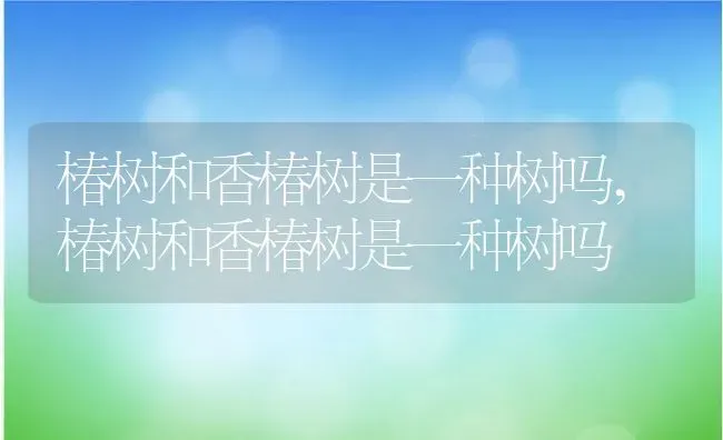 椿树和香椿树是一种树吗,椿树和香椿树是一种树吗 | 养殖科普