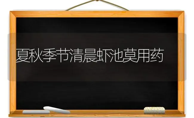 夏秋季节清晨虾池莫用药 | 养殖技术大全