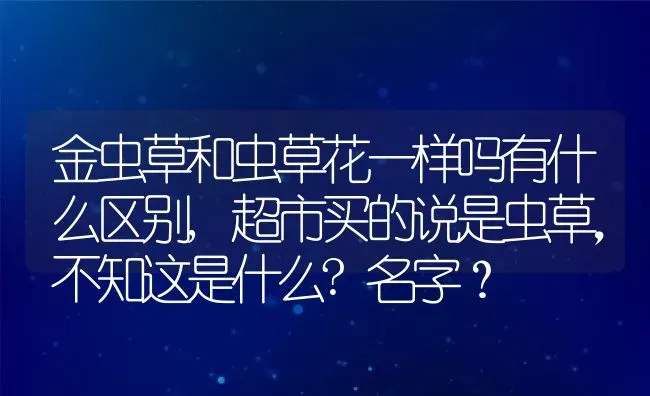 金虫草和虫草花一样吗有什么区别,超市买的说是虫草，不知这是什么?名字？ | 养殖科普