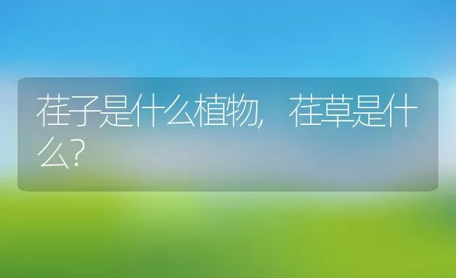 荏子是什么植物,荏草是什么？ | 养殖科普