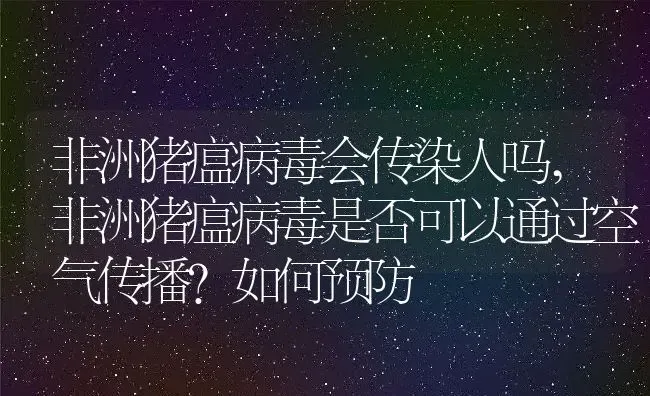 非洲猪瘟病毒会传染人吗,非洲猪瘟病毒是否可以通过空气传播？如何预防 | 养殖学堂