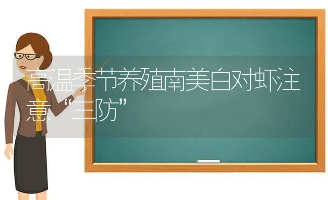 高温季节养殖南美白对虾注意“三防” | 养殖技术大全