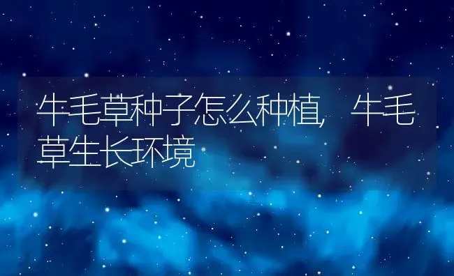牛毛草种子怎么种植,牛毛草生长环境 | 养殖学堂