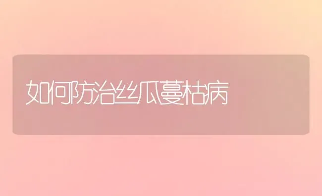 如何防治丝瓜蔓枯病 | 养殖知识