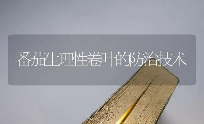 番茄生理性卷叶的防治技术 | 养殖技术大全