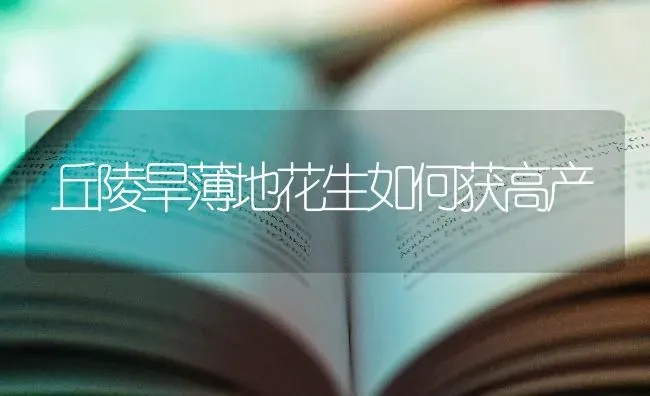 丘陵旱薄地花生如何获高产 | 养殖技术大全