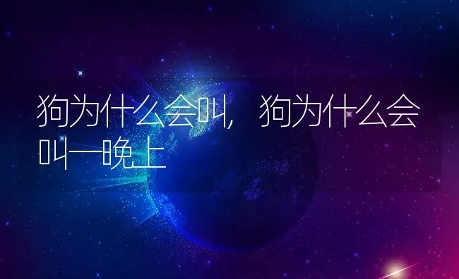 狗为什么会叫,狗为什么会叫一晚上 | 养殖科普