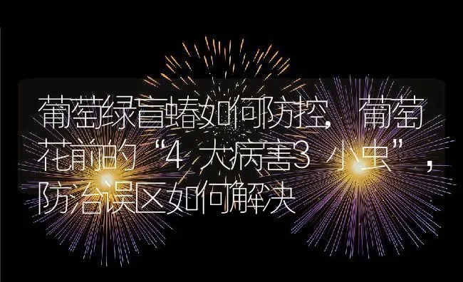 葡萄绿盲蝽如何防控,葡萄花前的“4大病害3小虫”，防治误区如何解决 | 养殖学堂