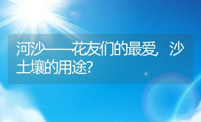 河沙——花友们的最爱,沙土壤的用途？ | 养殖科普
