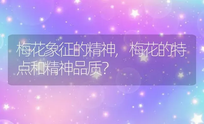 梅花象征的精神,梅花的特点和精神品质？ | 养殖科普