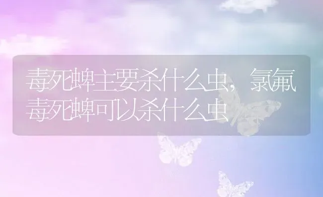 毒死蜱主要杀什么虫,氯氟毒死蜱可以杀什么虫 | 养殖学堂