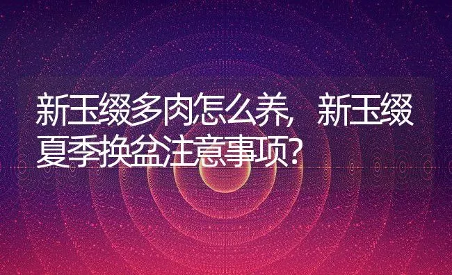 新玉缀多肉怎么养,新玉缀夏季换盆注意事项？ | 养殖科普