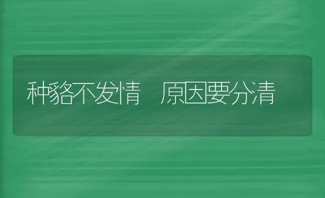 种貉不发情 原因要分清 | 养殖知识