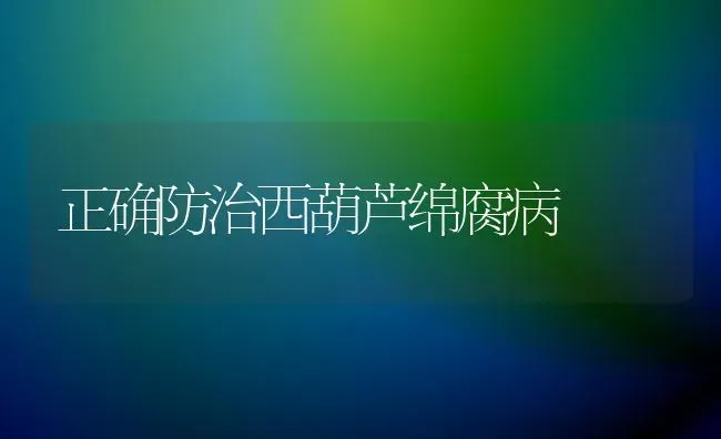 正确防治西葫芦绵腐病 | 养殖知识