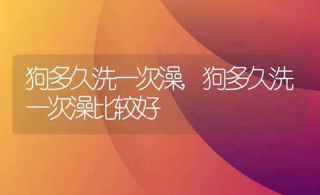 狗多久洗一次澡,狗多久洗一次澡比较好 | 养殖科普
