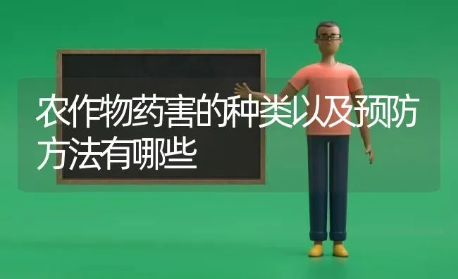 农作物药害的种类以及预防方法有哪些 | 养殖技术大全