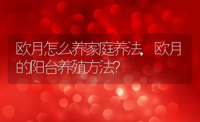 欧月怎么养家庭养法,欧月的阳台养殖方法？ | 养殖科普