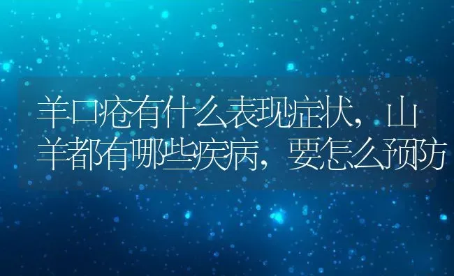 羊口疮有什么表现症状,山羊都有哪些疾病，要怎么预防 | 养殖学堂