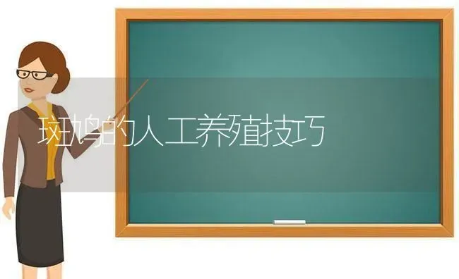 斑鸠的人工养殖技巧 | 养殖知识