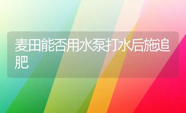 麦田能否用水泵打水后施追肥 | 养殖知识