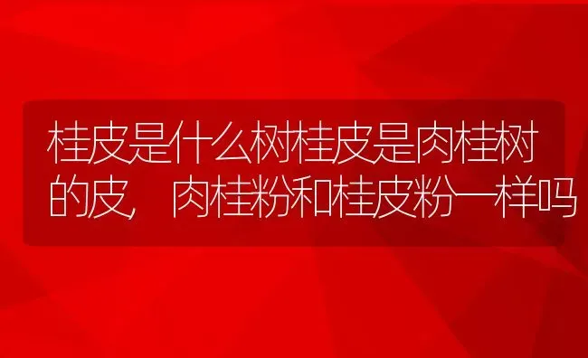 桂皮是什么树桂皮是肉桂树的皮,肉桂粉和桂皮粉一样吗 | 养殖学堂