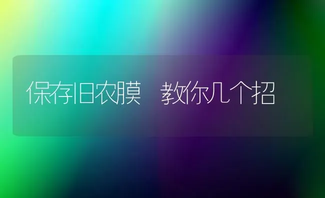 保存旧农膜 教你几个招 | 养殖技术大全