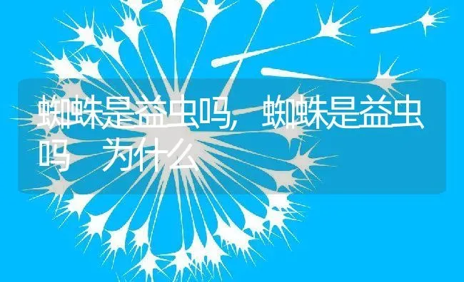 蜘蛛是益虫吗,蜘蛛是益虫吗 为什么 | 养殖科普