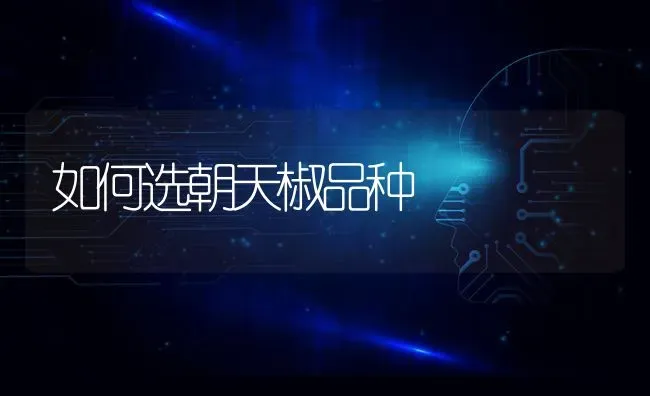 如何选朝天椒品种 | 养殖技术大全