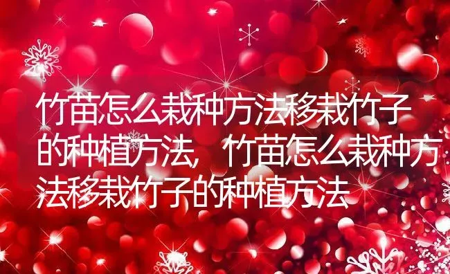 竹苗怎么栽种方法移栽竹子的种植方法,竹苗怎么栽种方法移栽竹子的种植方法 | 养殖科普