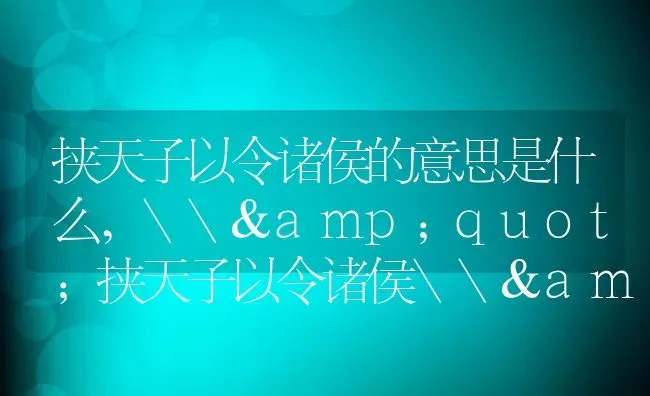 挟天子以令诸侯的意思是什么,\&quot;挟天子以令诸侯\&quot;什么意思？ | 养殖科普